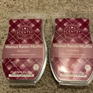 Scentsy Bricks